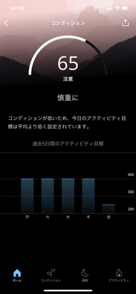 オーラリングのコンディションデータ