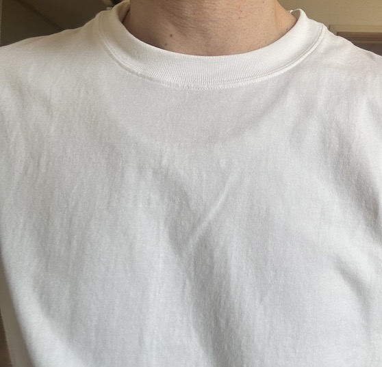 ヘインズ BEEFY-Tシャツの透け感